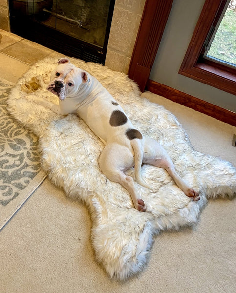 Fluffy Soft Bed