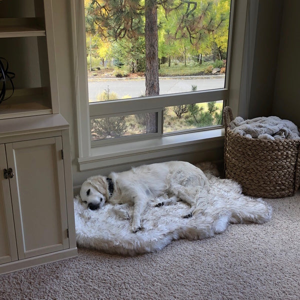 Fluffy Soft Bed