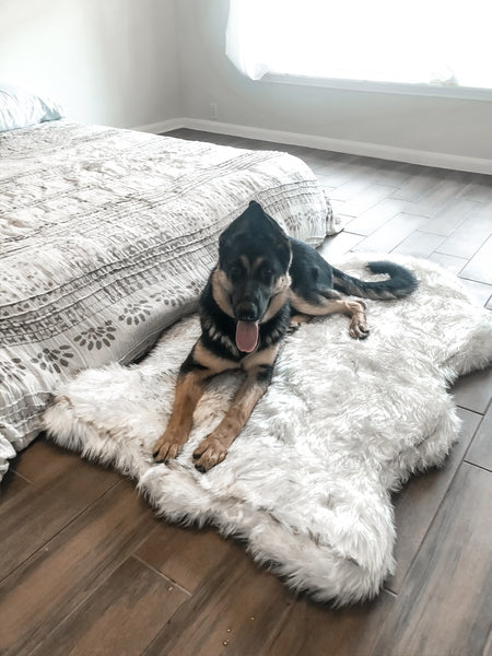 Fluffy Soft Bed