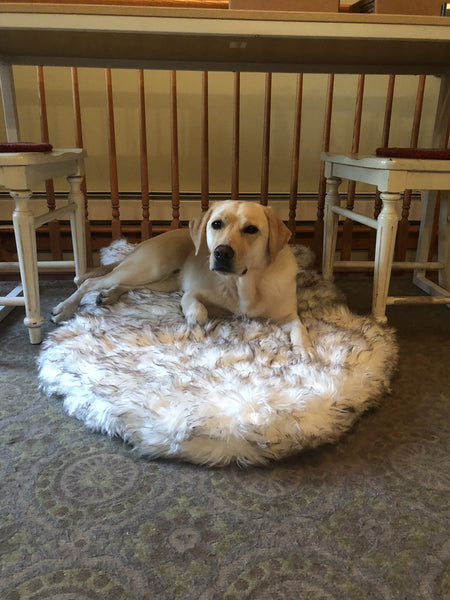 Fluffy Soft Bed