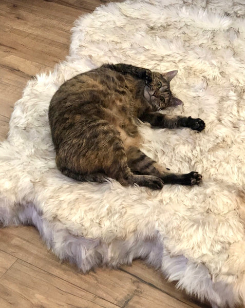 Fluffy Soft Bed