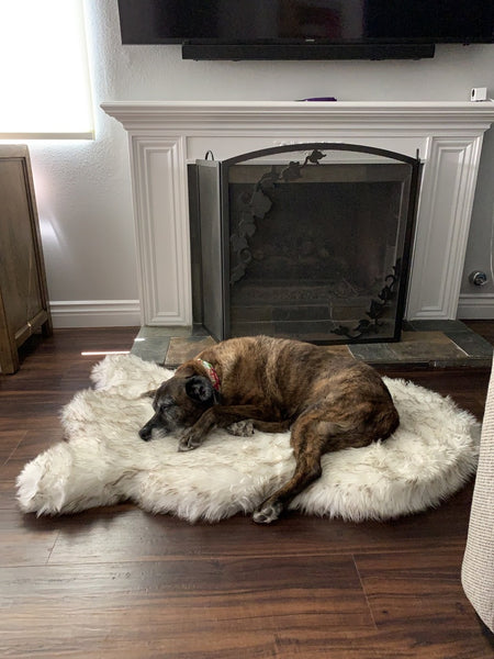 Fluffy Soft Bed