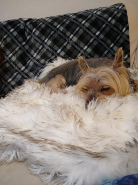 Fluffy Soft Bed
