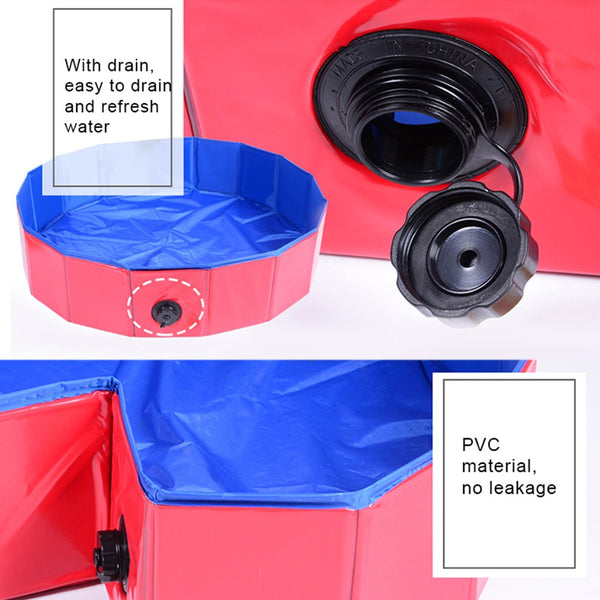 Dog Pool