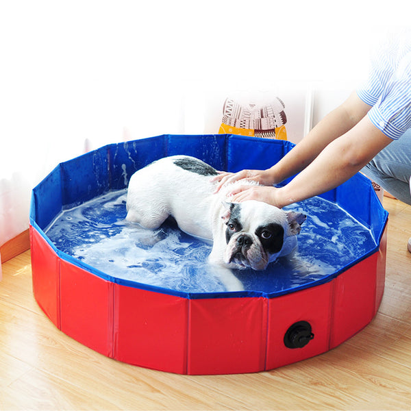 Dog Pool